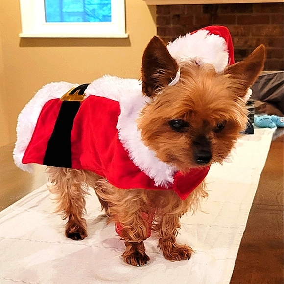 ❤️🎄Host Pick!🎄❤️ Doggo Santa Outfit S - Picture 2 of 16